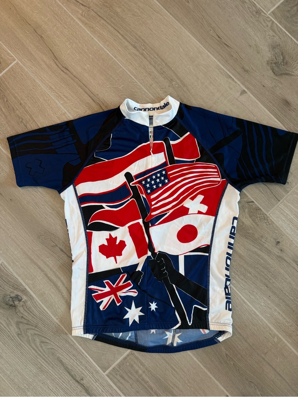 Vintage Cannondale Mens Medium Cycling Jersey USA International Flags Y2K